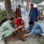 WhatsApp Image 2026-03-11 at 2.06.09 AM