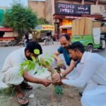 WhatsApp Image 2026-03-11 at 2.06.10 AM