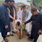 WhatsApp Image 2026-03-11 at 2.09.54 AM