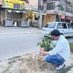 WhatsApp Image 2026-03-11 at 2.09.55 AM (1)