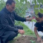 WhatsApp Image 2026-03-11 at 2.09.56 AM